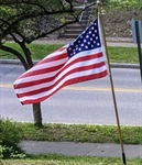 Show your Patriotism  for America's 250 Birthday